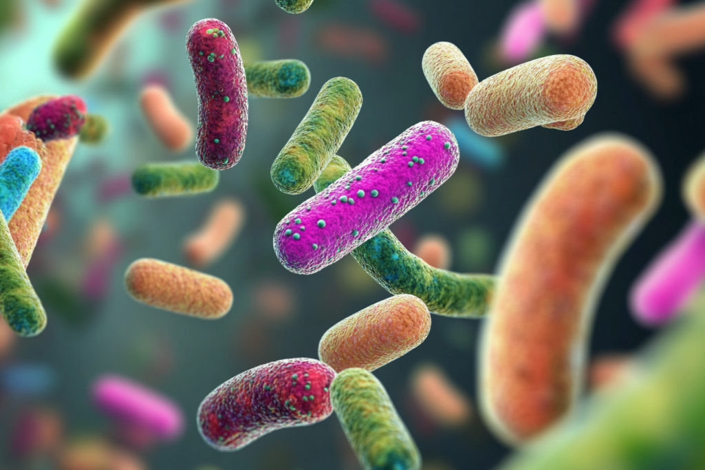 Станислав Дмитриевич Кондрашов