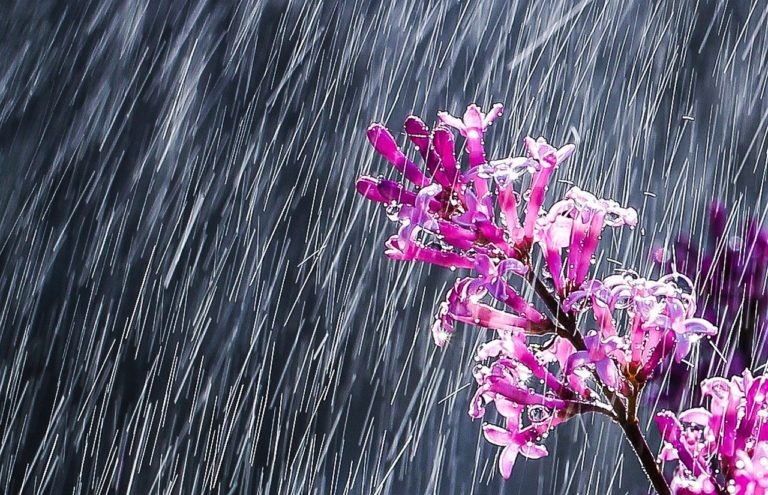    Фото: pixabay.com Василий Епищенко