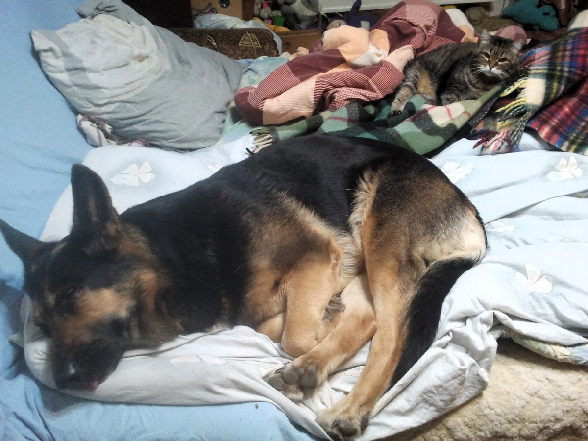 Фото автора