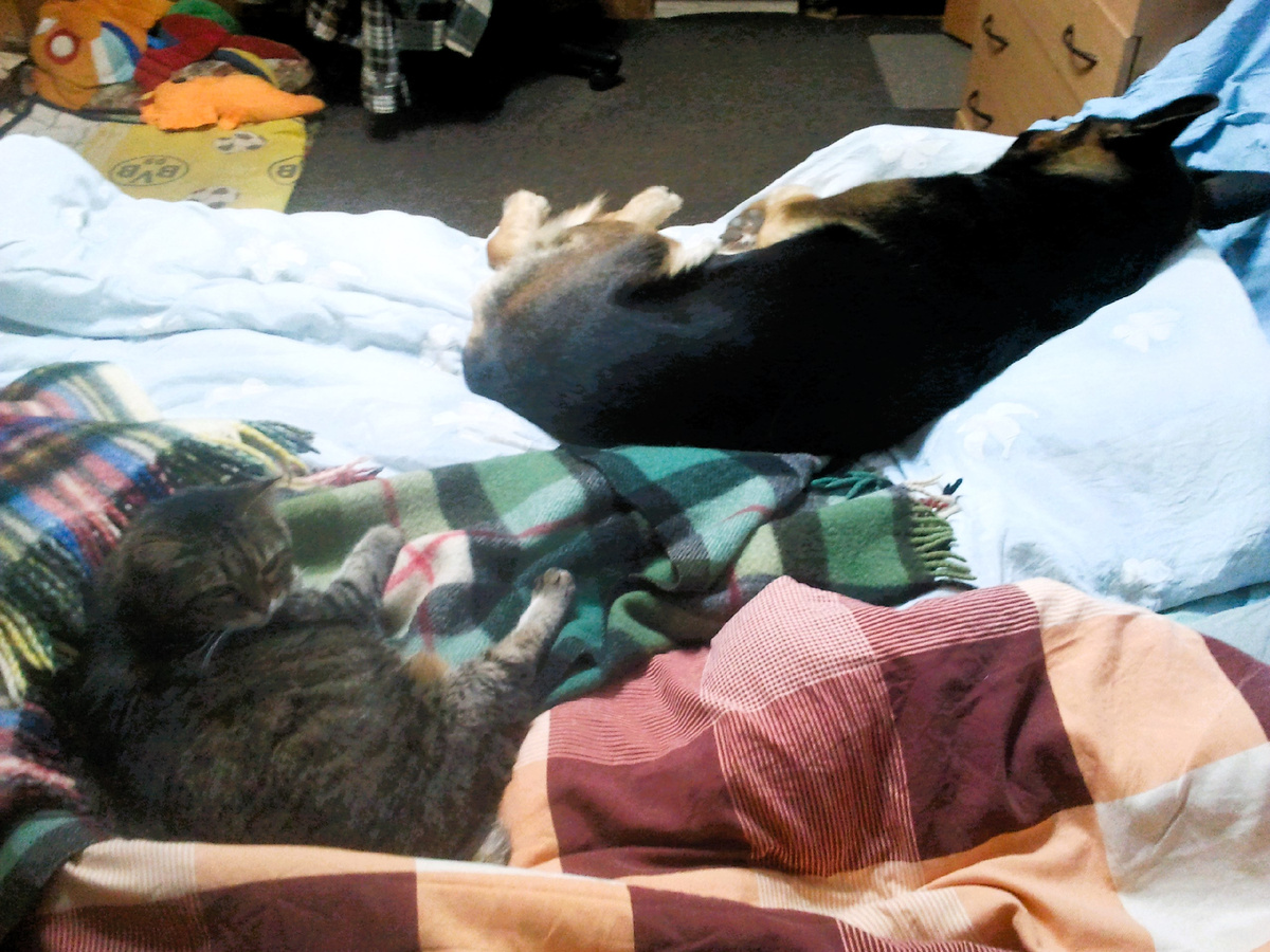 Фото автора