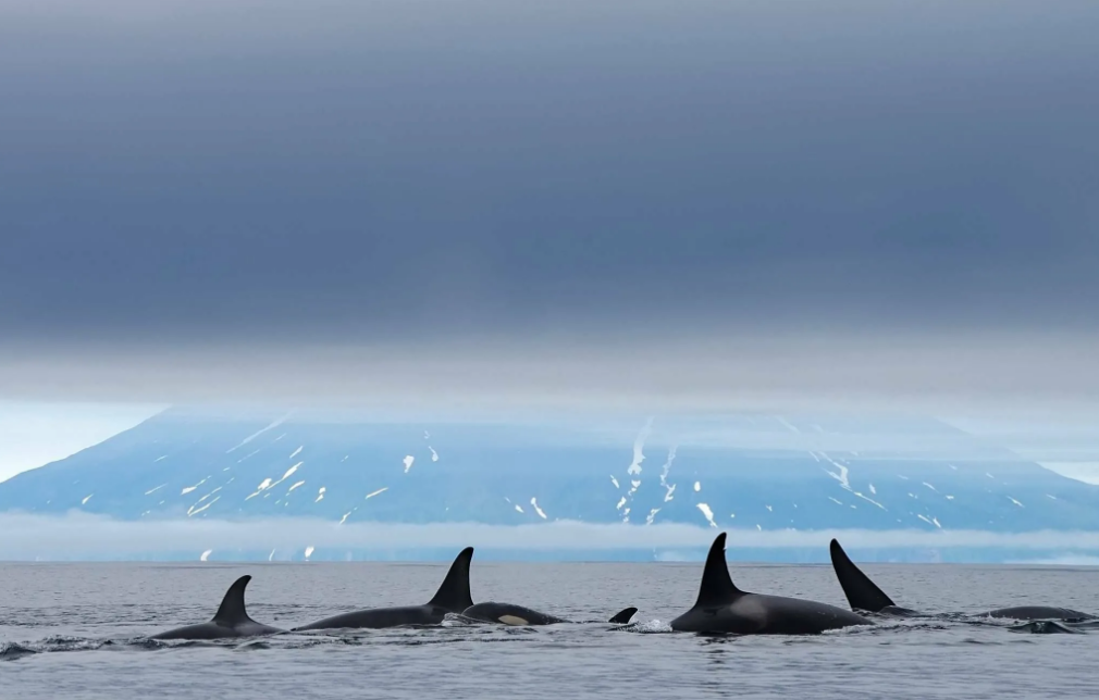 Фото: Алексей Турков