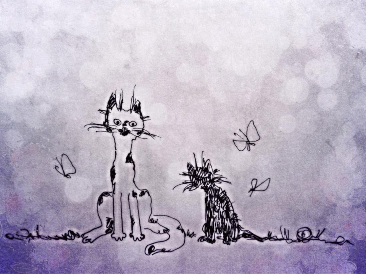 Коты, бабочки, улитка 🦋 🐱 🐱 🦋 🦋 🐌 