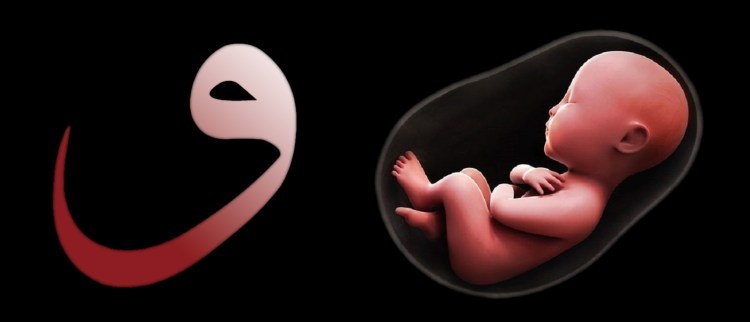 Источник: sutubogda.com