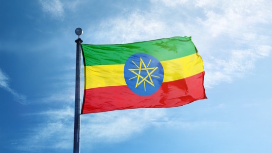    Эфиопия предлагает России ресурсную базу для освоения Роман Захаров