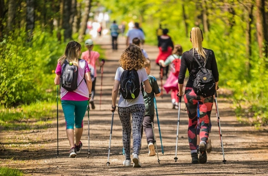 Занятия скандинавской ходьбой