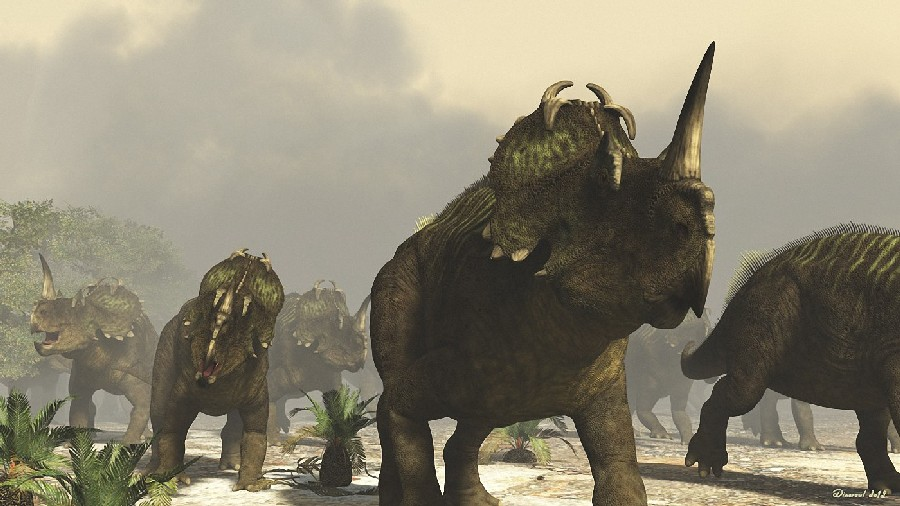 Центрозавр был травоядным. Он жил в меловой период и населял Северную Америку. Его окаменелости были найдены в таких местах, как Альберта (Канада), Колорадо и Саскачеван (Канада).

Краткие факты о центрозавре:

Существовал с кампанского возраста до 66 миллионов лет назад
Жил в земной среде обитания
Был травоядным животным
Размножается откладыванием яиц
Имел массу тела примерно 1079,7 кг.
палеонтологи обнаружили 46 различных образцов