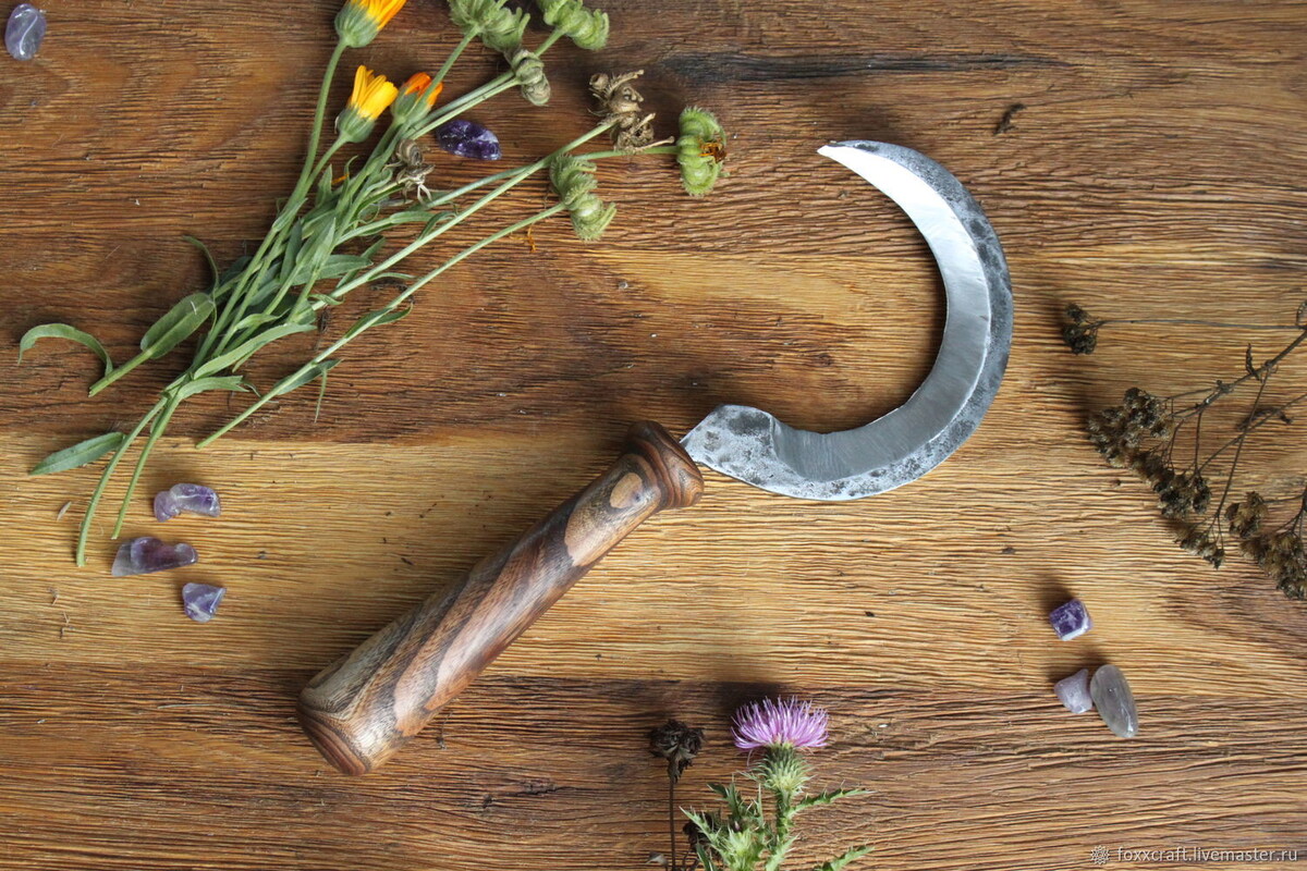 Фото: Яндекс картинки. Серп.