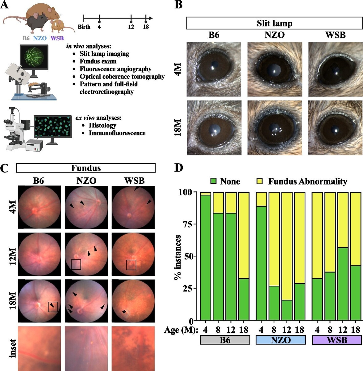    Molecular Neurodegeneration