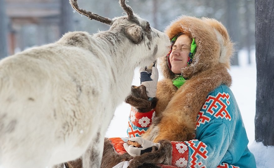 Сибирский Биг-Бен, блины из крови оленя и лучший десерт. Зачем туристы едут в Югру — царство снега и 40-градусных морозов?