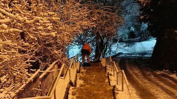    © Telegram-канал главы администрации Ялты Янины Павленко