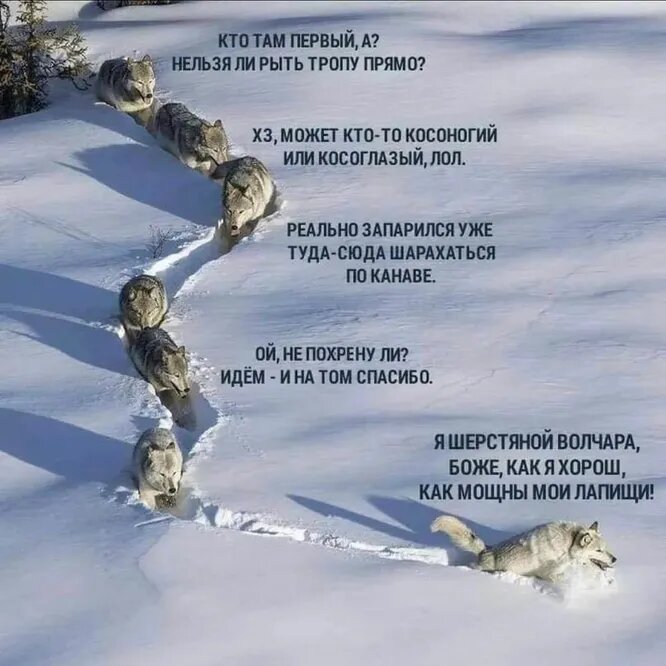 Этот мем быстро распространился в соцсетях