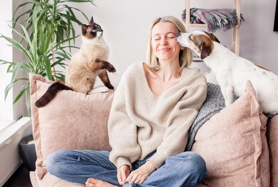    Shutterstock/FOTODOM