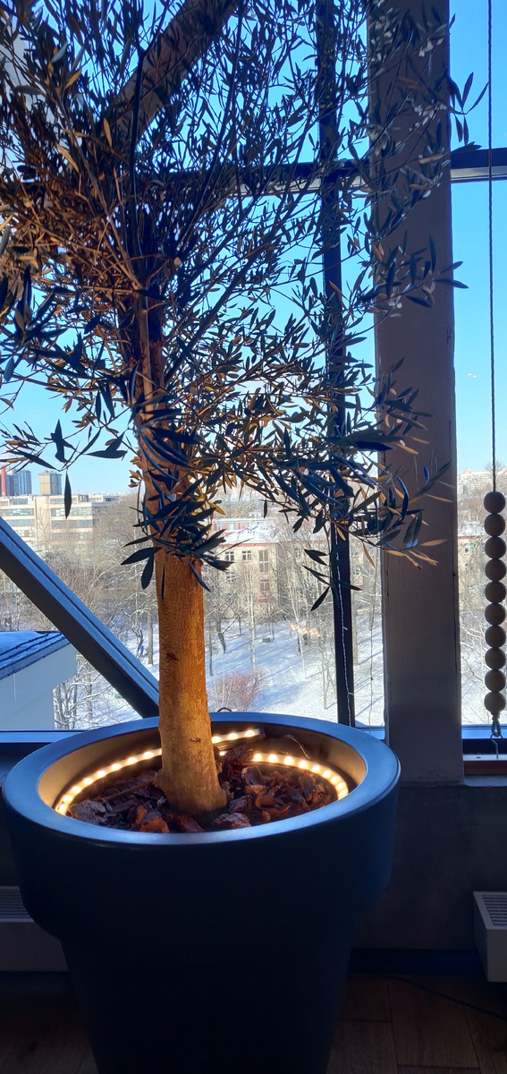 Фото автора 