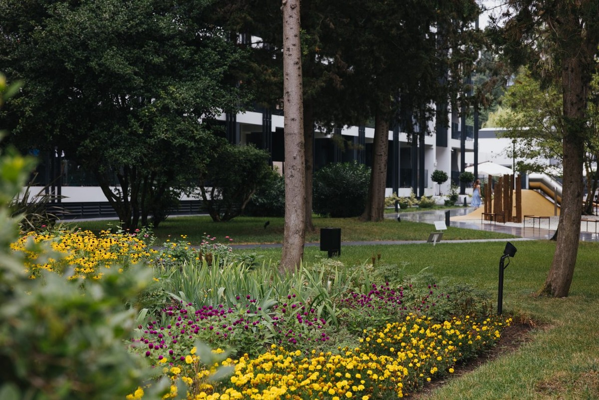 Территория