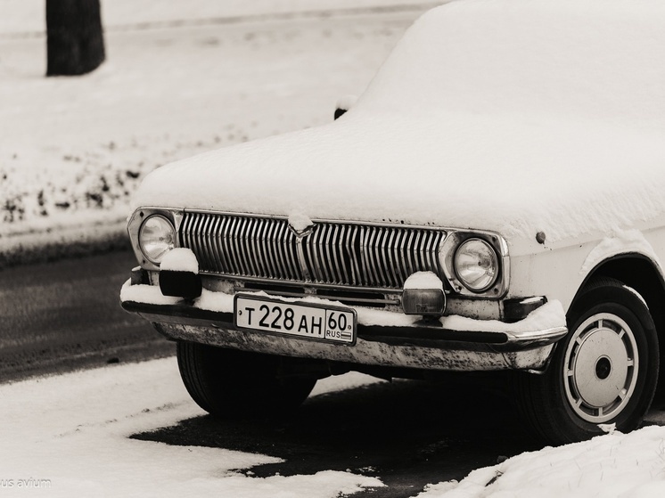     Фото: cerasus avium