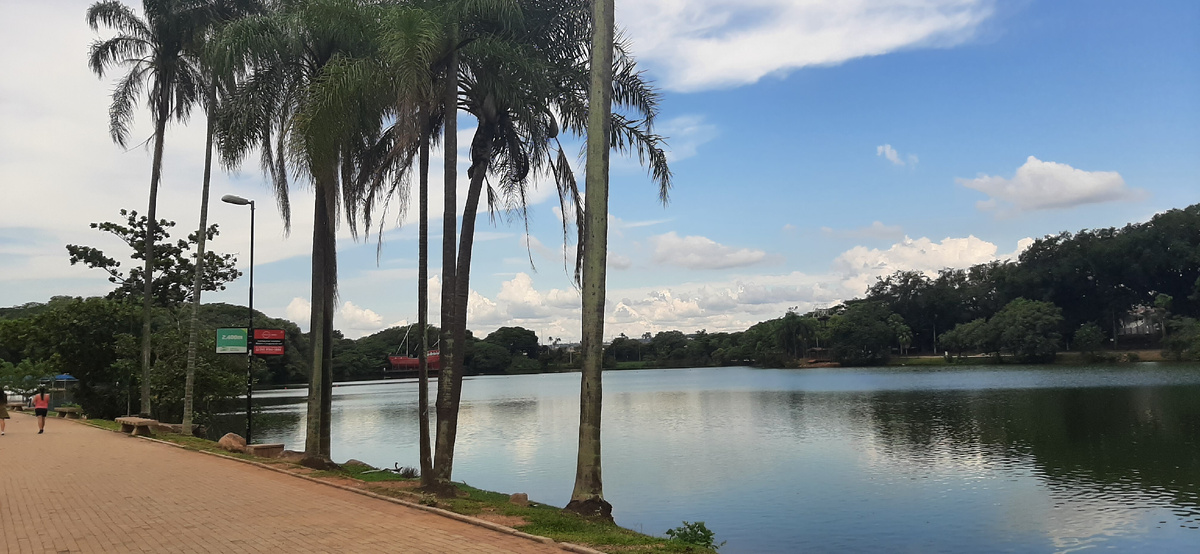 Кампинас (штат Сан-Паулу)