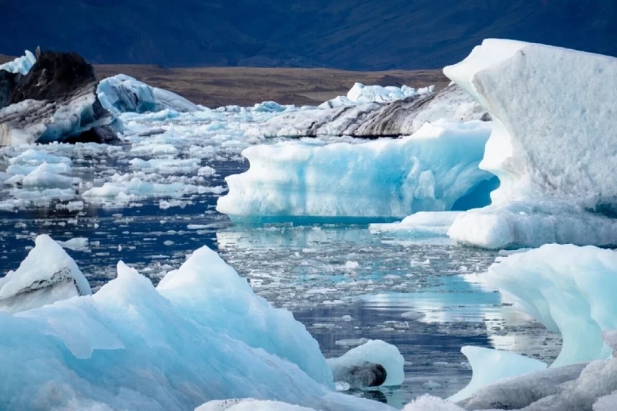    Великий потоп 2.0.