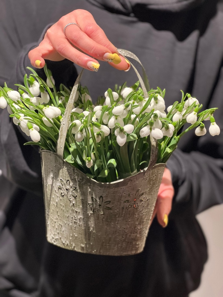 На фото: 100 белых подснежников