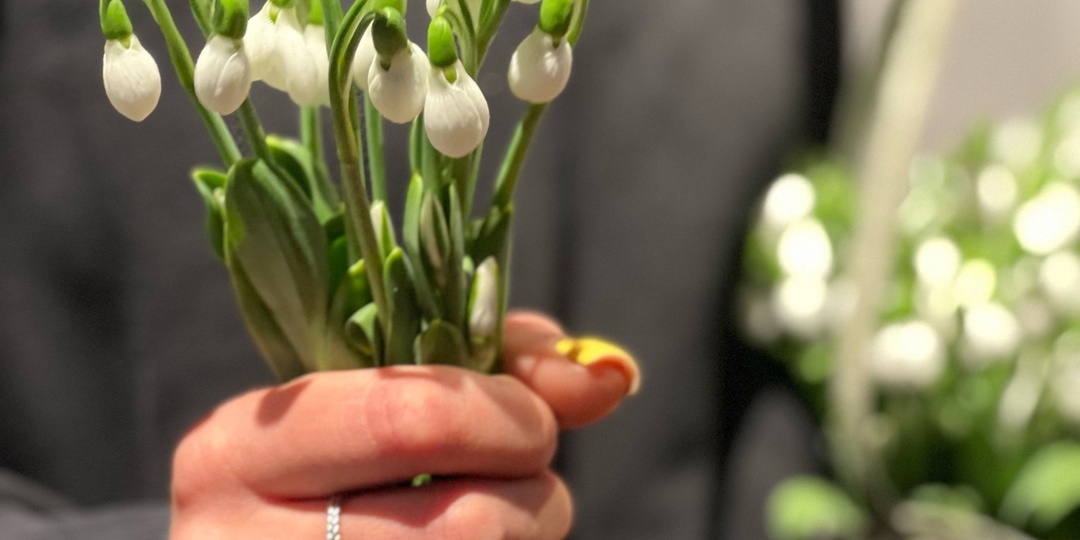 Цветы подснежники в феврале и марте!