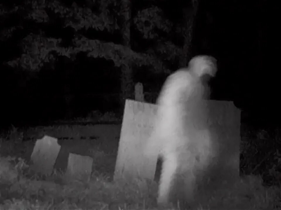 Изображение взято из открытых источников интернета. 