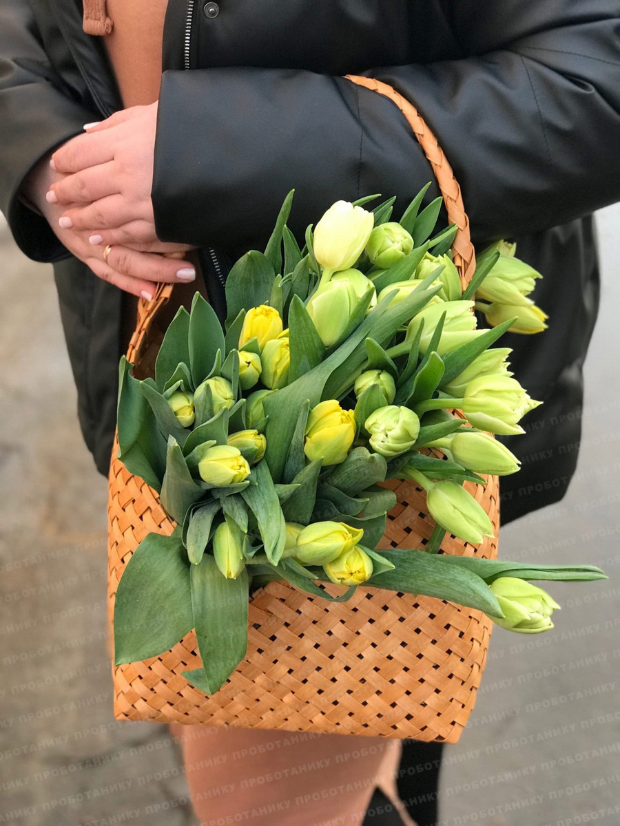 На фото: желтые пионовидные тюльпаны в корзинке