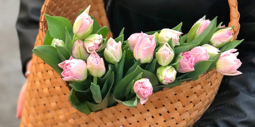 Идеальное время, чтобы заказать тюльпаны на 8 марта
