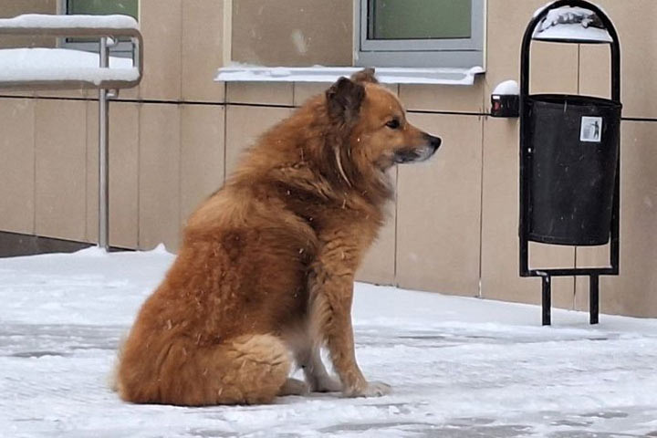 Фото:19rusinfo.ru
