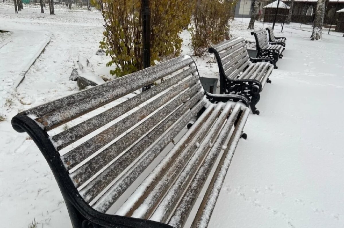    Синоптики опубликовали прогноз погоды на 20 февраля в Новосибирске