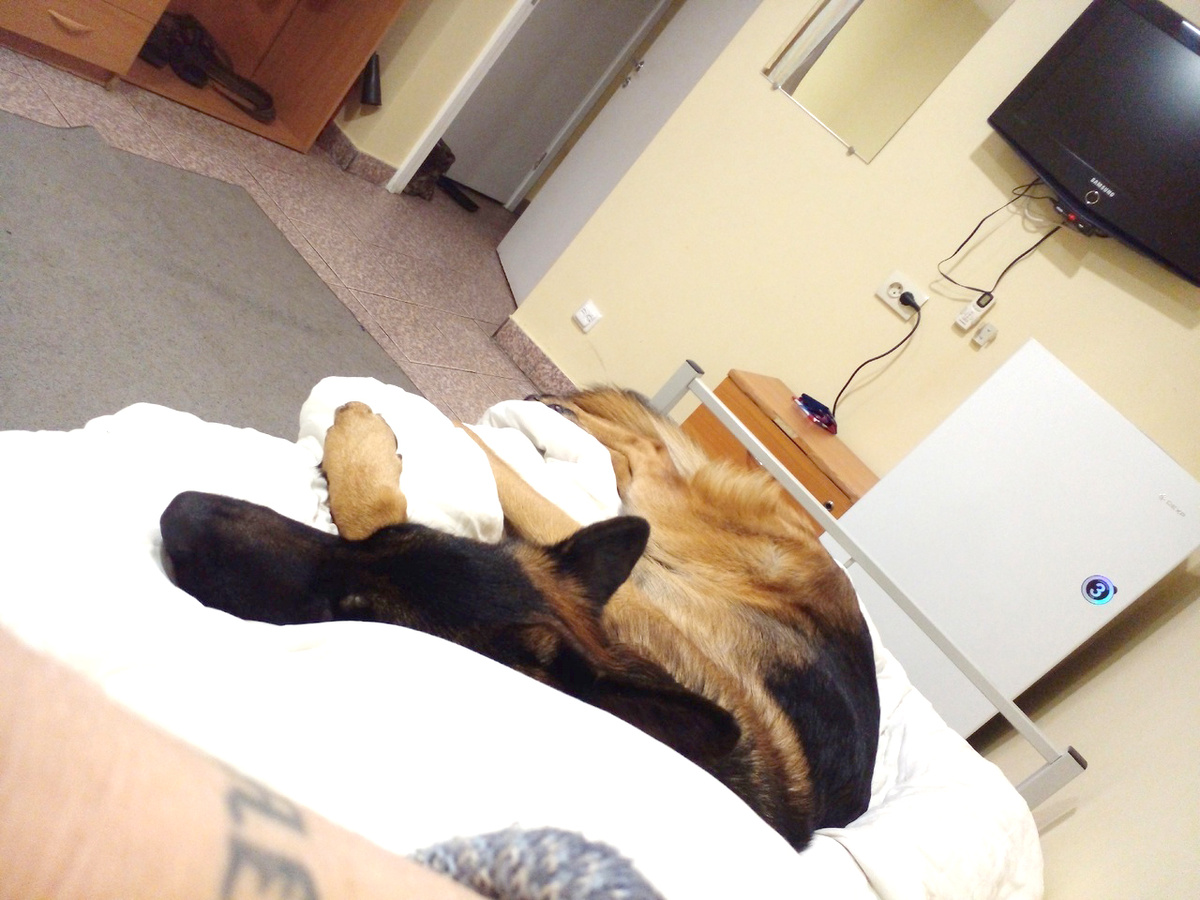 Валяемся, ленимся, никуда не идём. 9 декабря 2024 года, в хостеле. Фото автора. 