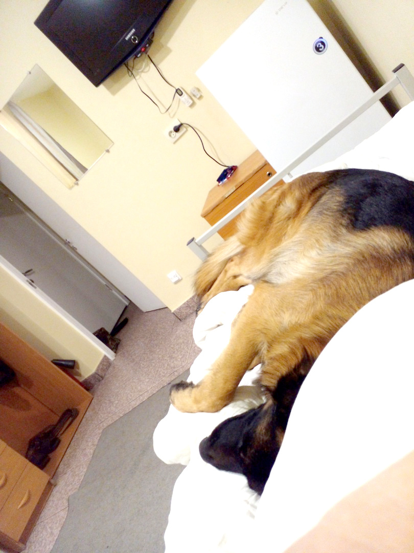 Валяемся, ленимся, никуда не идём. 9 декабря 2024 года, в хостеле. Фото автора. 