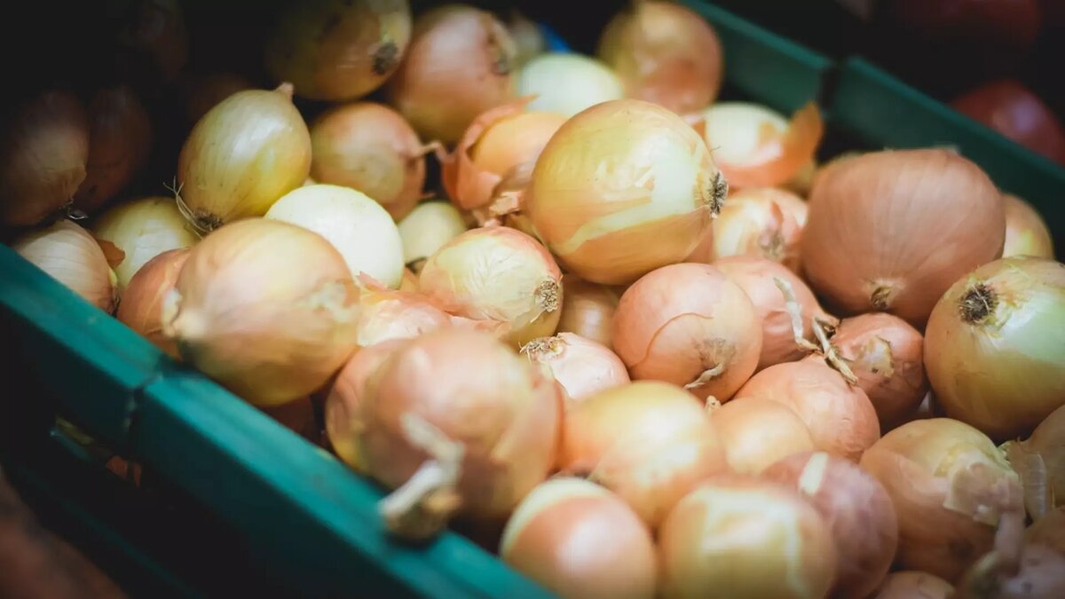     Источник: 1MI