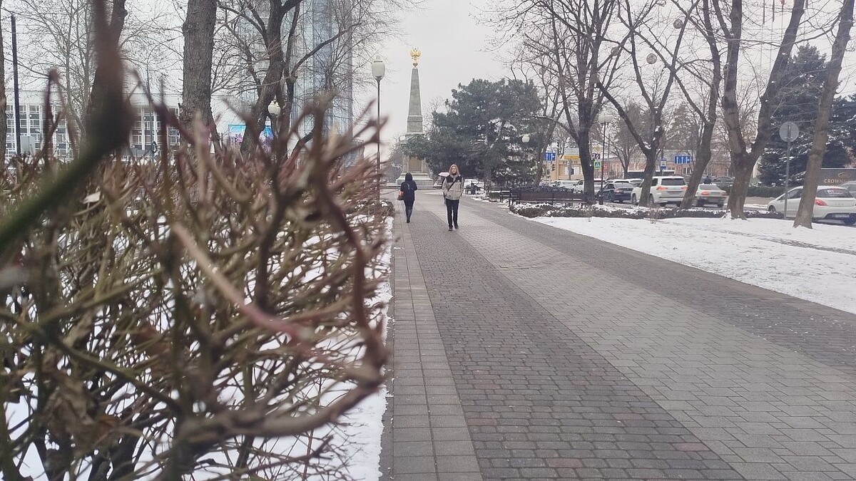    Фото: телеканал «Краснодар»