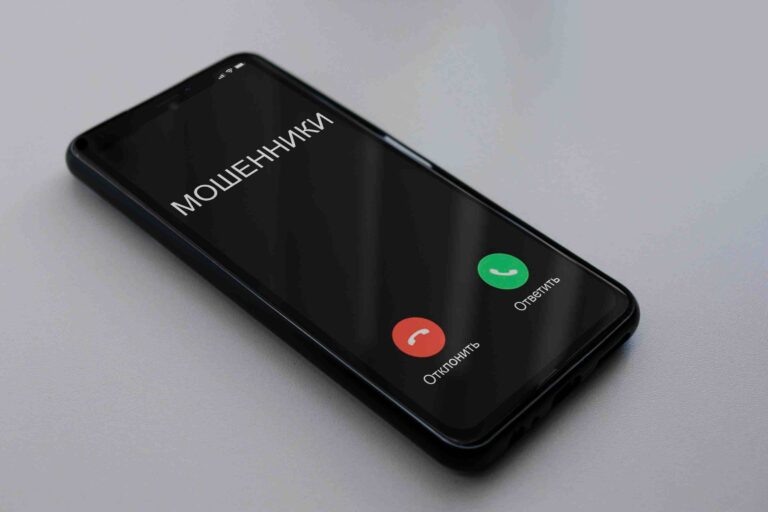 Фото: Амур.инфо