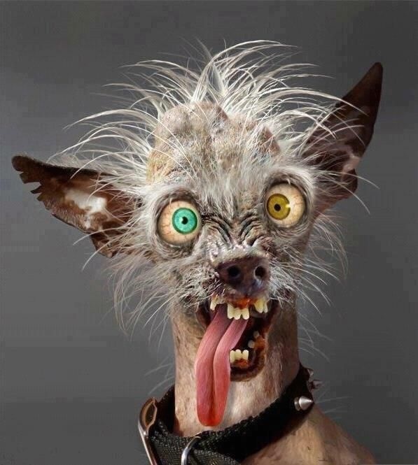 Минута юмора и улыбок!