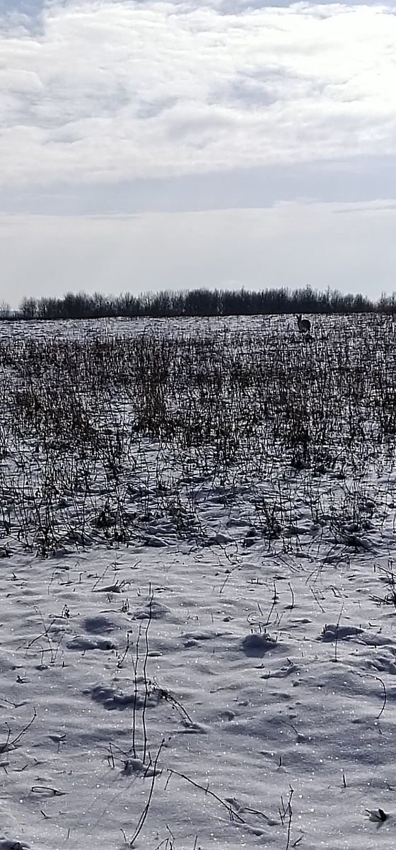 Личное фото
