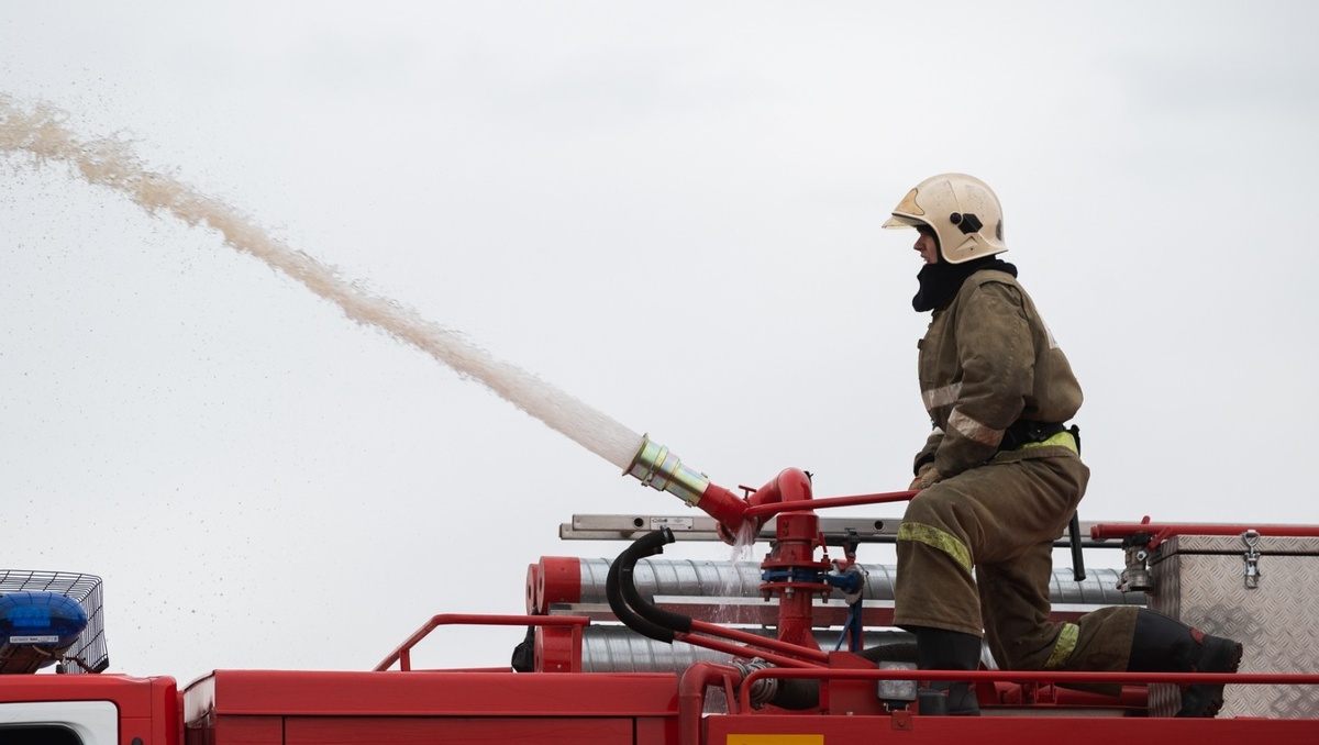     Источник: 1MI