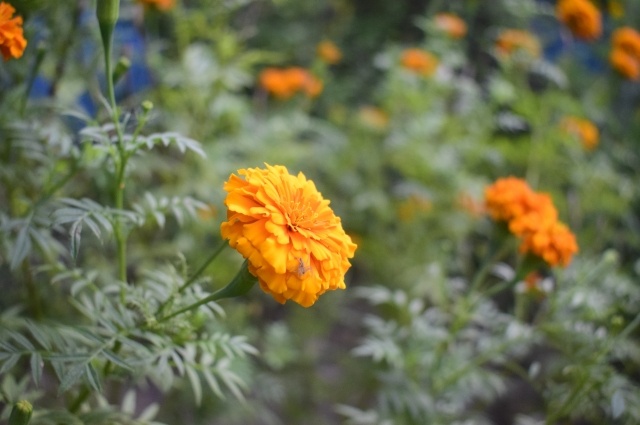    Фото: freepik.com/ @ wirestock