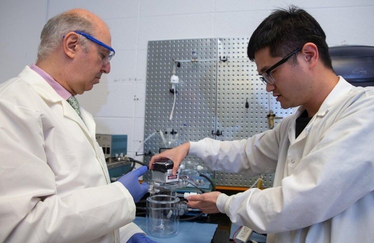    Очистка воды от цианотоксинов позволит людям избежать судьбы мадагаскарских динозавров