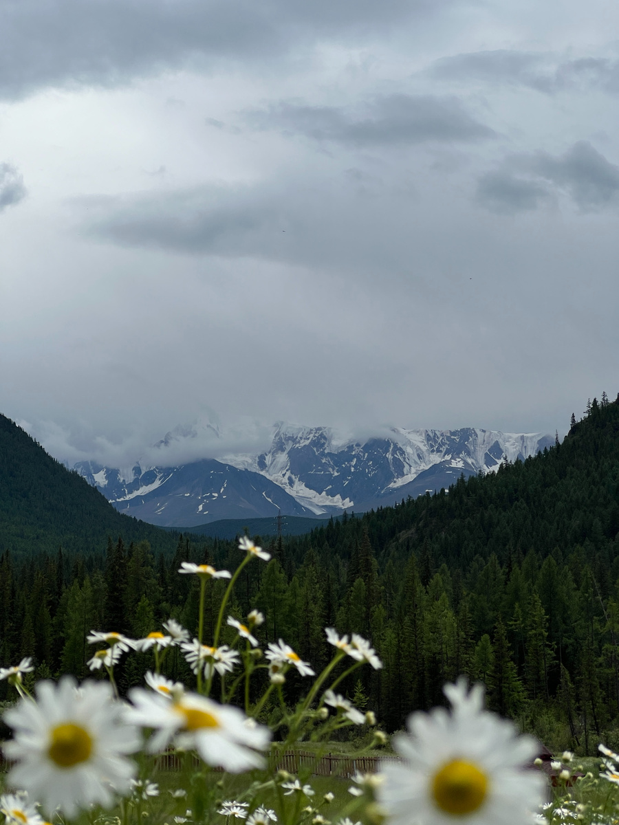 Виднеется Северо-Чуйский хребет (локация - Гейзеровое озеро)