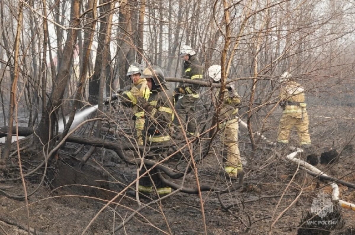    Тюменской области готовятся к весенним лесным пожарам и паводку