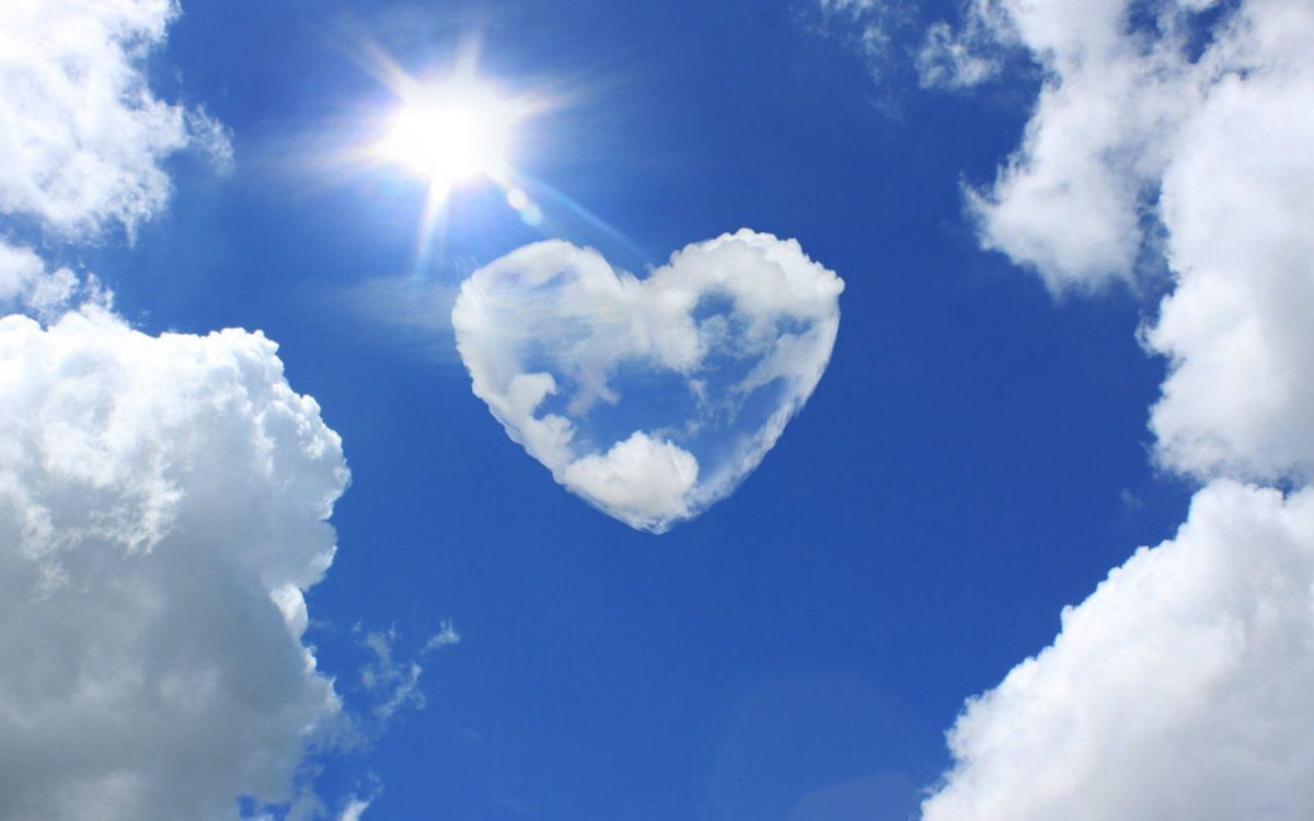 яндекс картинки