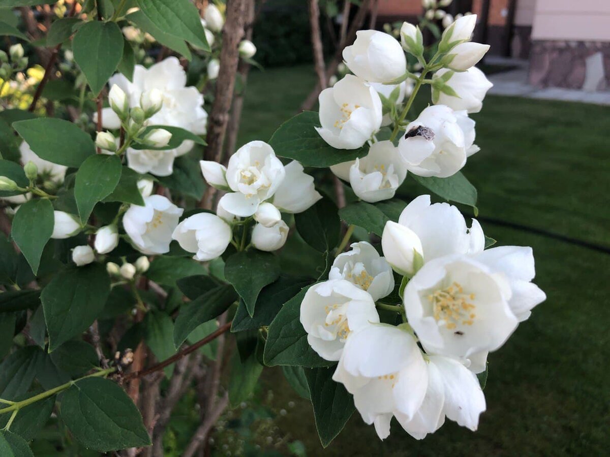 Фото автора канала Дом с кипарисами