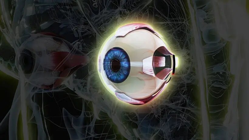  Глаз человека имеет шаровидную форму и состоит из нескольких элементов   © Freepik. julos