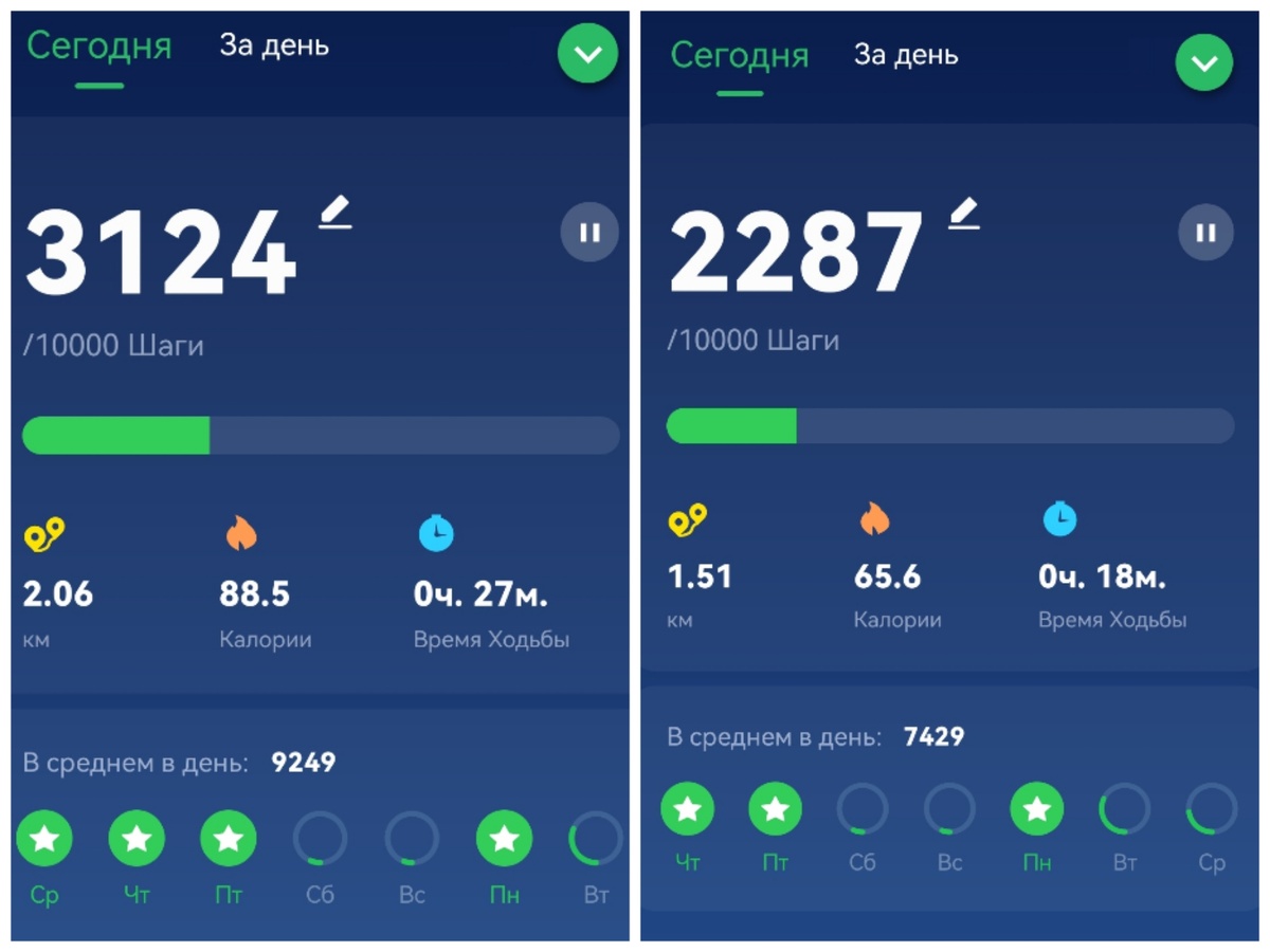 Наглядно видно по количеству шагов, что я дома, а не на работе 🤣🤣🤣