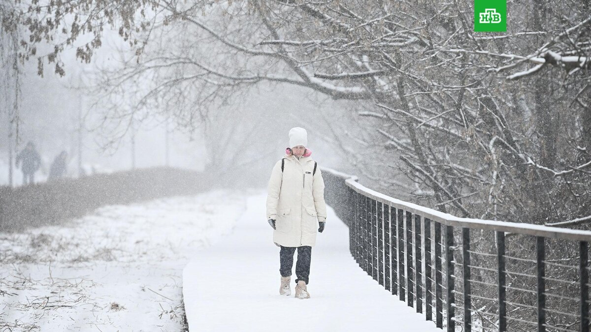    Фото: РИА Новости © 2025, Максим Блинов