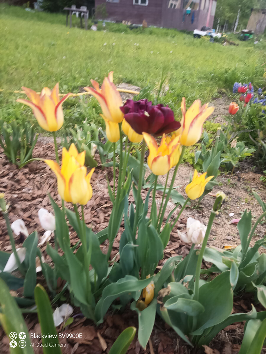 В полуроспуске