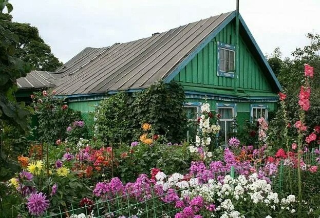 Дом в деревне.