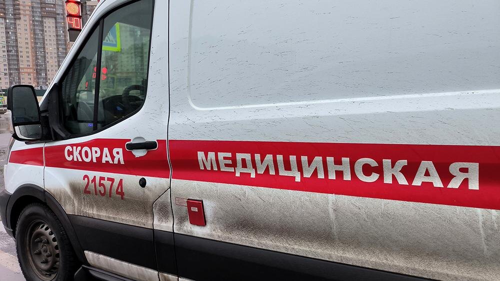    Фото: Maksim Konstantinov/Global Look Press