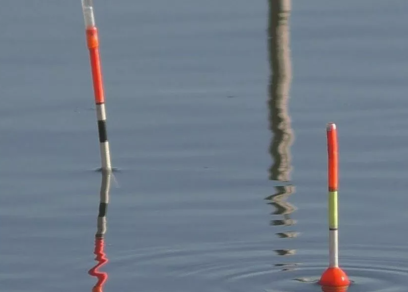 Рыбалка на поплавочную удочку. Источник фото laminarts.ru