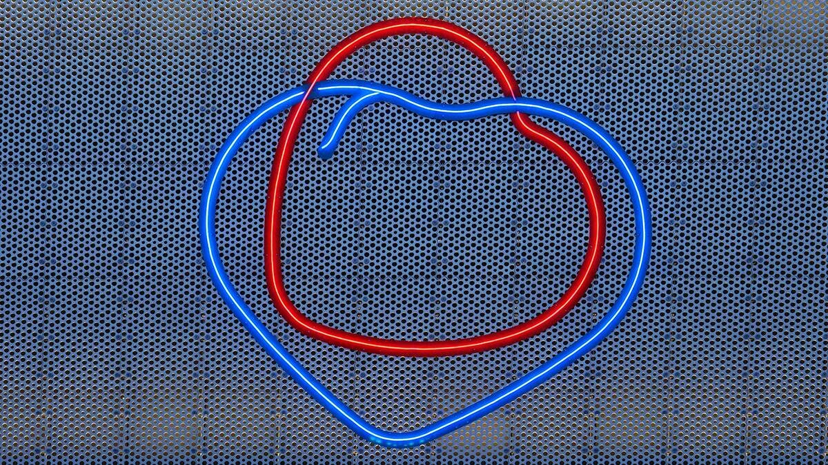    Фото: Анатолий Цымбалюк / Вечерняя Москва